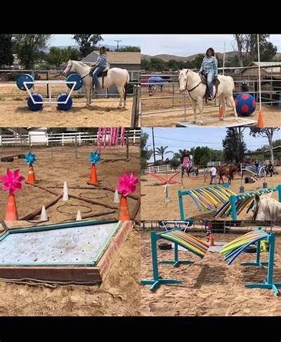 Pin on Horse Obstacles Horse Obstacle Course, Horse Obstacles, Riding Ideas, Saddle Club, George Morris, Training Horses, Trail Riding Horses, Horse Training Exercises, Horse Farm Ideas