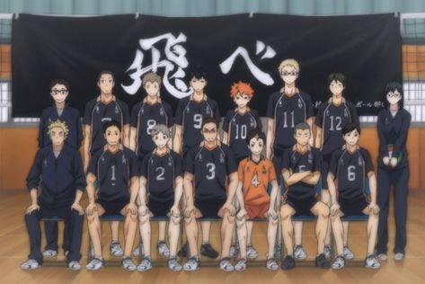 Karasuno Team, The Story