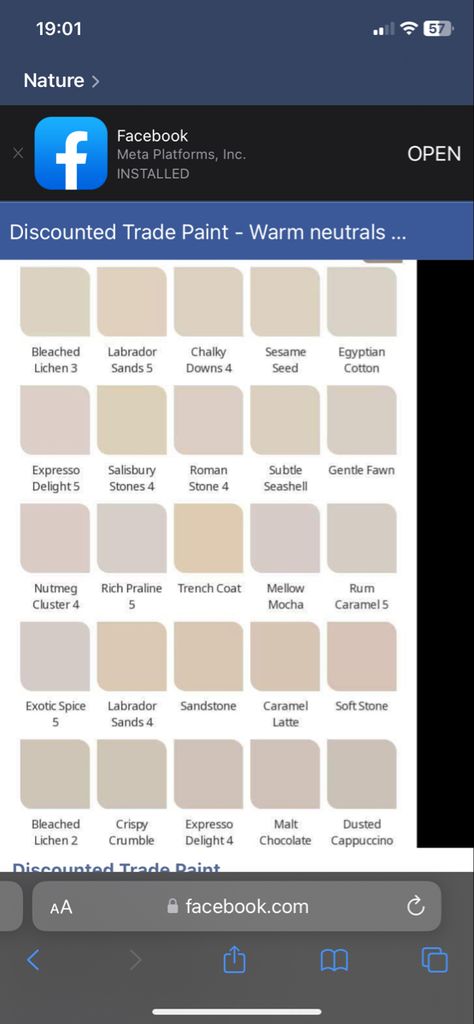 Dulux Warm Neutrals, Dulux Gentle Fawn, Bedroom Colours, House Colour, Painted Curtains, Chocolate Cappuccino, Gentle Fawn, Cosy Living, Cosy Living Room