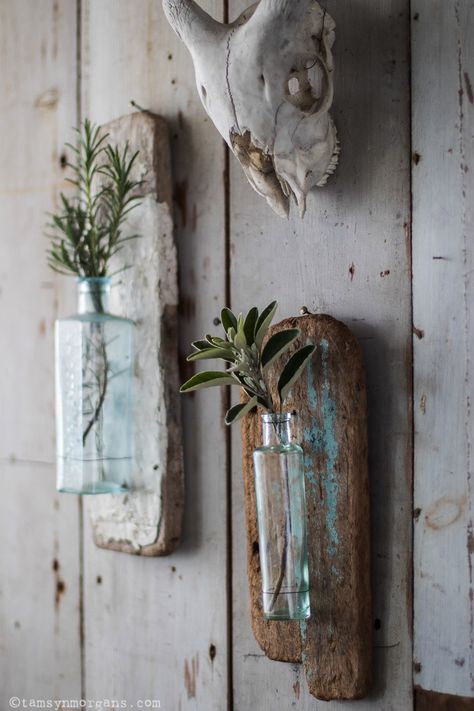 Driftwood Diy, Driftwood Art Diy, Driftwood Projects, Driftwood Wall, Barn Wood Crafts, Driftwood Wall Art, Deco Nature, Driftwood Decor, Driftwood Crafts