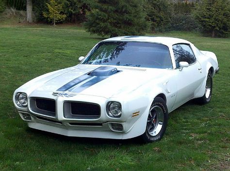 Pontiac 400, Trans Am For Sale, General Motors Cars, Pontiac Trans Am, Pontiac Tempest, Pontiac Firebird Trans Am, Pontiac Cars, Firebird Trans Am, Pony Car