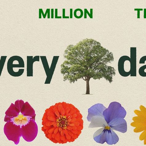 Ecosia | Celebrating Earth Day today, yesterday, and tomorrow 🌍🌳🌻🐝  Today is officially Earth Day. And so is every other day.   So we celebrate as... | Instagram Day Earth, Every Single Day, Singles Day, Earth Day, The Earth, Planting, Every Day, The Past, This Is Us