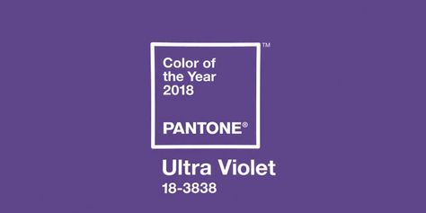 Pantone Color of the Year 2018: Ultra Violet Violet Wedding, House Of Turquoise, Pantone Color Of The Year, Paint Color Schemes, Web Design Trends, School Colors, Yet To Come, Color Of The Year, World Of Color