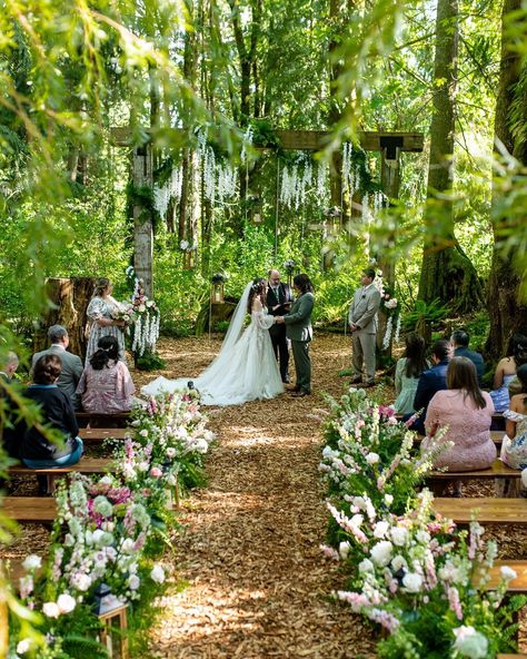 TWIN WILLOW GARDENS | Snohomish, WA Wedding & Event Venue Willow Garden, Door Backdrops, Wedding Photo Gallery, Tent Reception, Forest Garden, Gardens Wedding, Master Gardener, Wedding Event Venues, Wisconsin Wedding