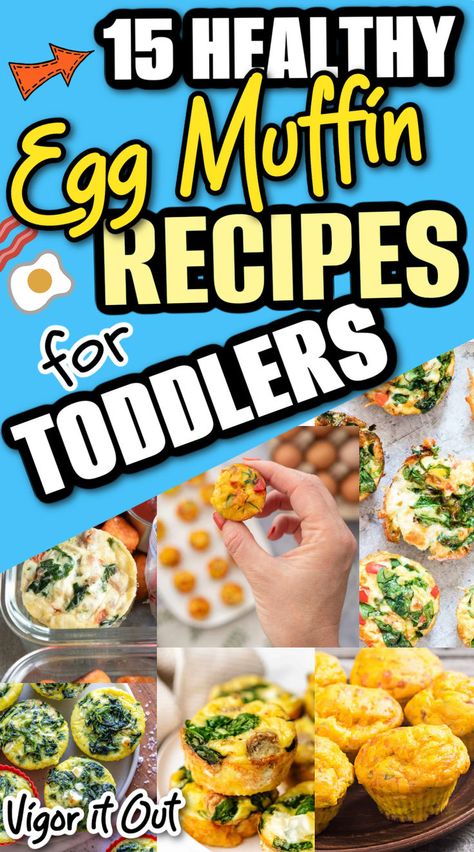 Healthy easy anf fast egg muffins for toddlers recipes. 15 egg muffin recipes for toddler and baby led weaning too. Breakfast cups that fit in little hands and are loaded with nutrition. Try every egg bites recipe that are perfect for meal planning and batch cooking for your kids. Egg Muffin Recipes, Muffins For Toddlers, Healthy Egg Muffins, Led Weaning Breakfast, Easy Egg Muffins, Kids Dinner Ideas, Healthy Toddler Breakfast, Baby Led Weaning Breakfast, Toddler Muffins