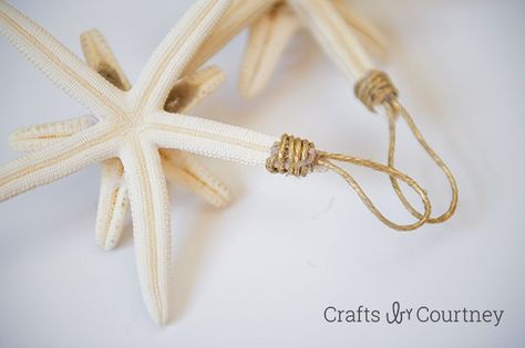 DIY Starfish Christmas Ornaments: Getting Beachy With Christmas Christmas Starfish Ornaments, Diy Starfish Ornaments, Sea Shell Ornaments Diy Coastal Christmas, Starfish Ornaments Diy, Candy Cane Photography, Starfish Crafts, Miami Christmas, Diy Starfish, Christmas Florida