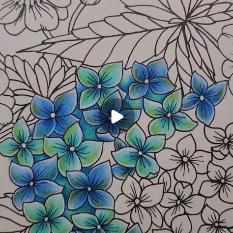 Joanna Basford Coloring, Joanna Basford, Basford Coloring, January 4, Johanna Basford, Coloring Book Art, Ink Pen Drawings, Pen Drawing, Pencil Art