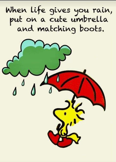 Happy Rainy Day Good Morning, Rainy Day Cartoon, Rainy Day Good Morning, Happy Rainy Day, Cute Umbrellas, Funny Animal Pictures, Wallpaper Quotes, Rainy Day, Animal Pictures