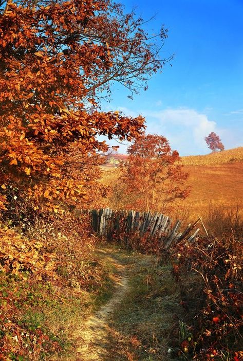 Autumn Countryside, Fall Mood, Autumn Magic, Autumn Scenes, Autumn Scenery, Fall Is Here, Fall Pictures, Favorite Season, Autumn Cozy