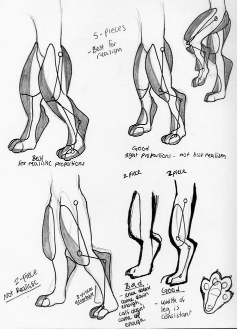 Fursuit Tutorial, Drawing Legs, Cosplay Tutorial, Cosplay Diy, 그림 그리기, Drawing Tutorial, Art Tutorials, Drake, Cosplay Costumes