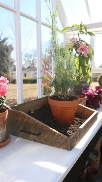 Plant Station Potting Tables, Wooden Potting Tray, Potting Tables Diy Wood, Potting Tray Diy, Diy Potting Tray, Plant Potting Station, Potting Soil Storage Ideas, Potting Tray, Garden Answer