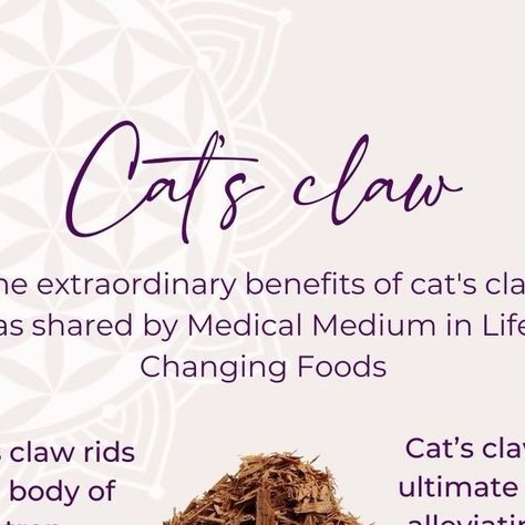 Cats Claw Benefits, Cats Claw, Medical Intuitive, Medical Medium, Tea Benefits, Cat Claws, Cream Recipes, Life Changing, Most Powerful