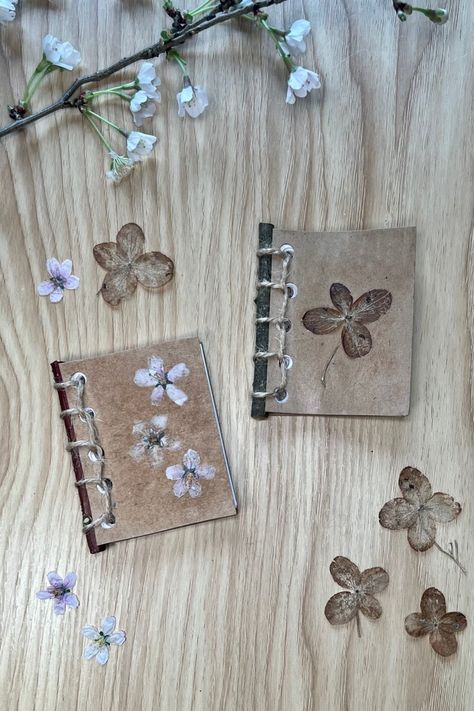 See how the fluffy white dandelion clock forms after the flower has blossomed and preserve the ... Fairy Notebook, Leaf Lantern, Craft Box Subscription, Sun Prints, Garden Activities, White Dandelion, Dandelion Clock, Simple Butterfly, About Nature