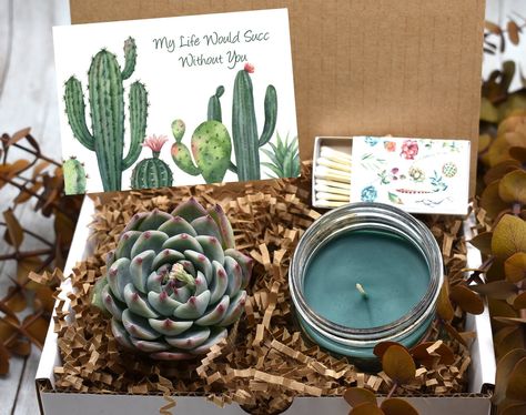 Really love this, from the Etsy shop NaturalSucculents. https://etsy.me/2WJpjZr #etsy #housewares #giftbox #succulentbox #succulentinpot #livesucculent #succulentgift #trendinggift #giftforfriend #thinkingofyougift Succulent Wedding Favors, نباتات منزلية, Succulent Gift, Miss You Gifts, Wine Gift Baskets, College Care Package, Succulent Gifts, Cactus Plant, Gift Message