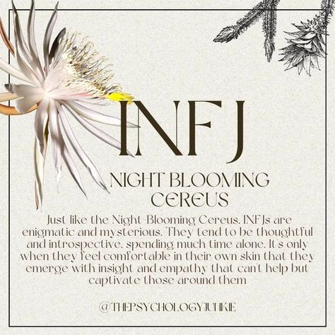 Personalidad Infj, 16 Personality Types, The 16 Personality Types, Infj Psychology, Rarest Personality Type, Night Meaning, Myers Briggs Personality Test, Intj And Infj, Infj Type