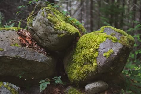 Voice Of Nature, Deconstructivism, Rock Photography, Beauty Magic, Green Planet, Landscape Photography Nature, Environment Design, Environment Concept Art, Gothic Art