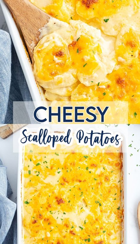 Scalloped Cheesy Potatoes Side Dish For Easter, Easter Sides, Side Dishes For Ham, How To Make Cheese Sauce, Cheesy Scalloped Potatoes, Easter Side Dishes, Scalloped Potatoes Cheesy, Easter Dinner Recipes, Hosting Holidays