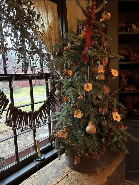 Colonial Christmas Tree, Colonial Williamsburg Christmas, Woodland Christmas Decor, Martha Stewart Christmas, Williamsburg Christmas, Primitive Christmas Decorating, Antique Christmas Tree, Winter Decorating, Orange Christmas