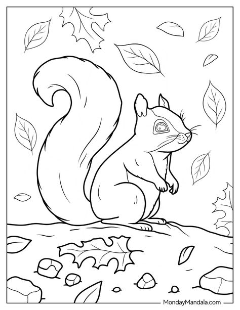 20 Squirrel Coloring Pages (Free PDF Printables) Squirrel Printable, Squirrel Coloring Page, Chibi Coloring Pages, Green Tissue Paper, Awesome Crafts, Animals Coloring, Puffy Paint, Cup Crafts, Cute Squirrel