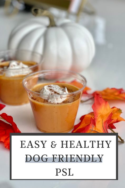 This dog-friendly PSL recipe will take about five minutes to make; all you need is a blender! Not only is this pumpkin spice latte recipe for dogs easy to make, but it’s also healthy for our dogs! Pumpkin is low in calories and includes nutrients. Psl Recipe, No Bake Dog Treats, Healthy Pumpkin Spice Latte, Pumpkin Yogurt, Pumpkin Spice Latte Recipe, Doggy Treats, Pumpkin Spiced Latte Recipe, Pumpkin Smoothie, Dog Pumpkin