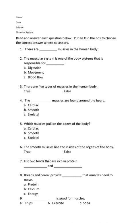 Muscular System online exercise for 5. You can do the exercises online or download the worksheet as pdf. Muscular System Worksheet, Muscular System Activities, Skeletal And Muscular System, Excretory System, Types Of Muscles, Muscle System, Body Bones, Human Body Organs, Health Class