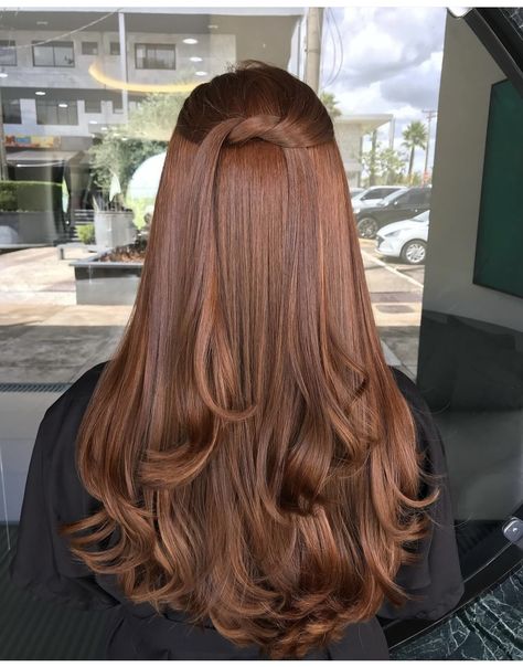 Copper Hair Ideas, Dark Copper Brown, Blonde And Brown Hair, Brown Long Hair, Cowboy Copper Hair, Tips For Hair, Cowboy Copper, Honey Brown Hair, Brown Hair Looks