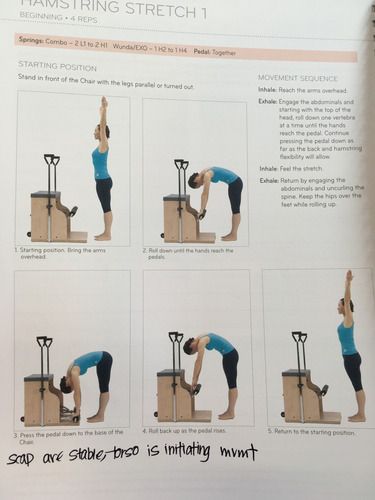 Pilates chair exercises Flashcards | Quizlet Chair Pilates, Pilates Solo, Chair Workout, Pilates Chair, Pilates Poses, Yoga Anatomy, Hamstring Stretch, Chair Exercises, Pilates Barre