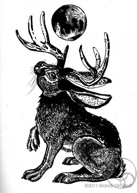 Jackalope Aesthetic, Jackalope Drawing, Jackalope Art, Jackalope Tattoo, Bunny Tattoos, Rabbit Tattoos, Spooky Tattoos, Rabbit Art, Bunny Art