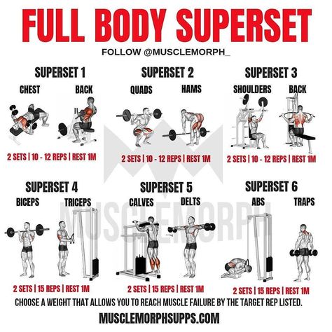 Full Body Superset @musclemorph_... Superset Workout Plan, Full Body Db Circuit, Back Workout Superset, Total Body Superset Workout, Full Body Superset Workout Weights, Super Set Workouts Full Body Gym, Supersets For Women, Full Body Weight Lifting Workout, Cross Fitness Workouts