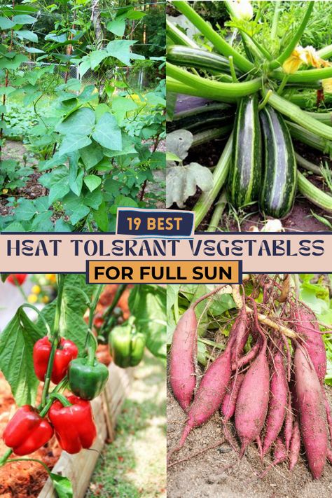 Heat Loving Vegetables, Full Sun Vegetable Garden, Full Sun Vegetables, Allotment Planning, Growing Hacks, Saving Earth, Gardening Knowledge, Colorado Gardening, Fast Growing Vegetables