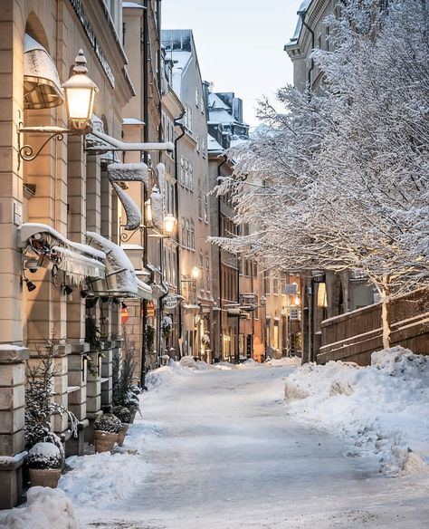 Earth on Twitter: "Stockholm, Sweden 🇸🇪 via: kjtsvensson… " Malmo Sweden Aesthetic, Winter Vibes Aesthetic, Stockholm Winter, Sweden Aesthetic, Visit Stockholm, Christmas Dreaming, Sweden Travel, Travel Wishlist, Winter Vibes