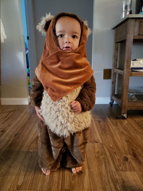 Ewok Costume Diy, Baby Ewok, Baby Ewok Costume, Ewok Costume, Baby Halloween Costume, Costume Diy, Diy Costumes, Baby Halloween, Halloween Costume