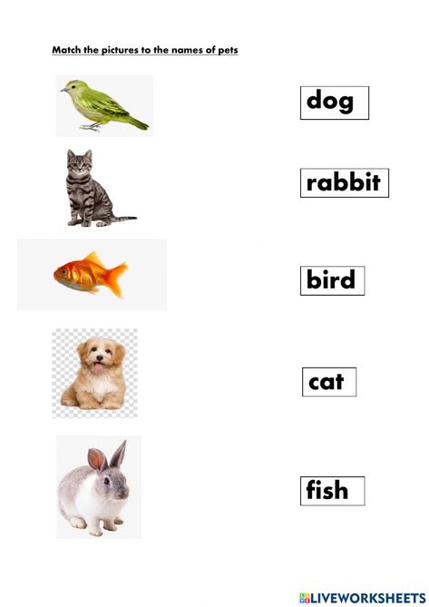 Pet Language, Animal Worksheets, Alphabet Tracing Worksheets, 2nd Grade Worksheets, Education School, Writing Exercises, English Writing Skills, English As A Second Language (esl), Esl Teaching