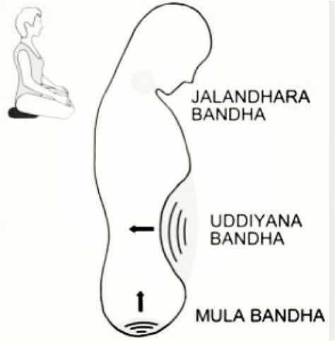 Bandha Yoga, Kundalini Yoga Poses, Jivamukti Yoga, Yoga Articles, Kundalini Meditation, Yoga Poster, Yoga Photos, Yoga Times, Chakra Yoga