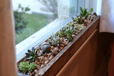 Indoor Flower Box, Window Sill Herb Garden, Window Sill Decor, Kitchen Window Sill, Window Plants, Trendy Plants, Indoor Window, Best Indoor Plants, Bathroom Plants