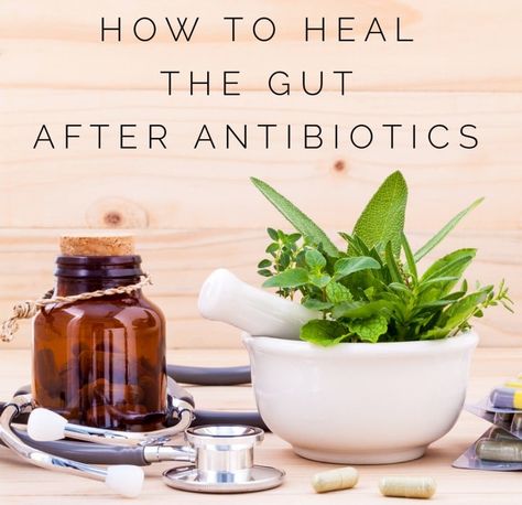 Many are struggling with weakened immune systems caused by overexposure to antibiotics. Here are 9 ways to heal your gut after antibiotics. Heal Gut, Heal Your Gut, Ways To Heal, Crunchy Granola, Gut Healing, Make Good Choices, Gut Health, Holistic Health, Immune System