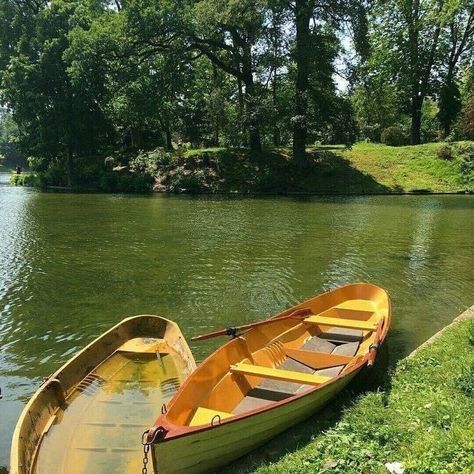 pocahontas aesthetic Glowworm Caves, Countryside Life, Green Country, Modern Disney, Places In The World, Jolie Photo, Nature Aesthetic, Agra, Pretty Places