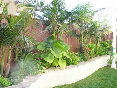 #tropical #landscaping Monster Landscape, Tropical Backyard Landscaping, Tropical Landscape Design, Florida Landscaping, Tropical Garden Design, Tropical Backyard, Desain Lanskap, Outdoor Stone, Landscape Designs