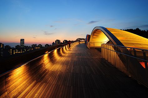 Urban Lighting Design, Bridge Lighting, Henderson Waves, A Walk To Remember, National University Of Singapore, Singapore Photos, National University, Urban Lighting, Power Failure