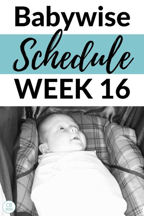 Babywise schedule Week 16. Schedule and routine for a 15-16 week old newborn baby. Get info on this baby’s daily schedule and play time ideas for each day. #babywise #babyschedule Newborn Routine, Babywise Schedule, Moms On Call, Potty Training Help, Baby Wise, Newborn Schedule, Toddler Schedule, Gestational Age, Week Schedule