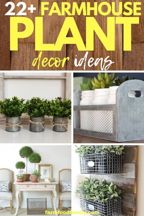 Best Farmhouse Indoor Plant Decor Ideas For Your House  #farmhousestyle #farmhousedecor #indoorplants #houseplants #farmfoodfamily Modern Farmhouse Plant Stands, Indoor Planter Ideas, Faux Plant Decor, Indoor Plant Decor Ideas, Plant Decor Ideas, Diy Wooden Wall, Indoor Plant Display, Mason Jar Planter, Best Farmhouse