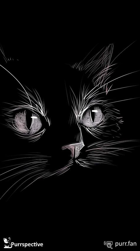 Scratchboard Animals, Cat Silhouette Tattoos, Animal Stencil Art, Scratchboard Drawings, Scratch Paper Art, Cat Phone Wallpaper, Magical Paintings, Cat Dark, Scratchboard Art