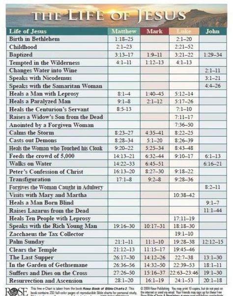 Timeline Of Jesus Life, Bible Summary, Bible Genealogy, Bible Charts, Life Timeline, Bible Learning, Bible Overview, Genealogy Of Jesus, Bible Timeline