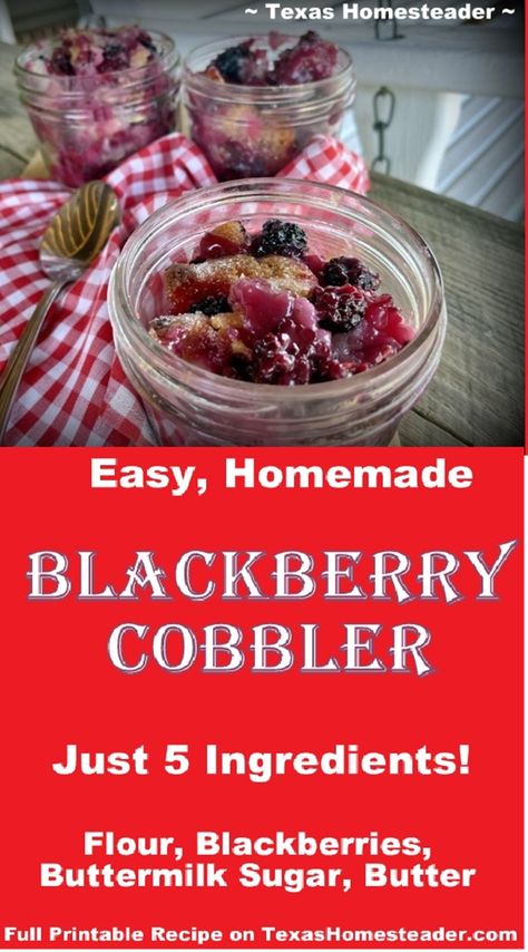 Simple Homemade Blackberry Cobbler Recipe With Just FIVE Ingredients! ~ Texas Homesteader ~ Simple Blackberry Cobbler Recipe, Old Fashioned Blackberry Cobbler, Easy Blackberry Cobbler Recipe, Easy Blackberry Cobbler, Apple Crisp Pie, Berry Cobbler Recipes, Blackberry Cobbler Recipe, Survival Preparedness, Blackberry Recipes