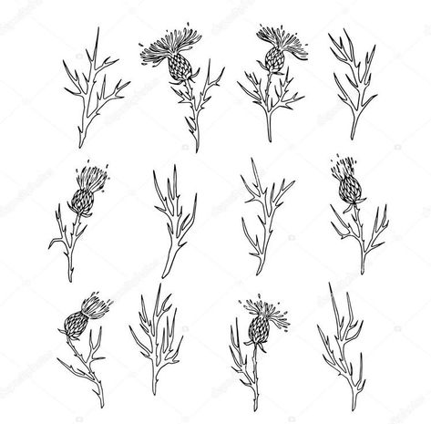 Black Thistle Tattoo, Dainty Thistle Tattoo, Thistle Tattoo Simple, Scotland Flower Tattoo, Thistle Line Drawing, Tiny Thistle Tattoo, Thistle Drawing Simple, Small Thistle Tattoo, Scotland Inspired Tattoo