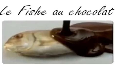 Fish being drowned in chocolate sauce Le Fishe Au Chocolat, Losing Sanity, Amelia Watson, Fish Board, Random Memes, Silly Images, Funny Me, Anime Kawaii, Super Funny