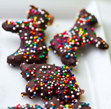 Easy homemade dark chocolate animal cookies. #vegan Homemade Dark Chocolate, Circus Animal Cookie, Cracker Cookies, Birthday Party Treats, Animal Crackers, Animal Cookies, Vegan Cookies, Chocolate Dipped, Cooking With Kids