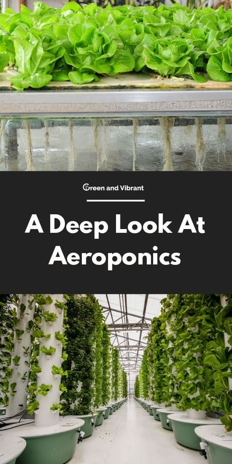 Aeroponic Potatoes, Aeroponics Diy, Adobe Garden, Winter Vegetable Gardening, Aeroponic Gardening, Hydroponic Gardening System, Aeroponic System, Water Plants Indoor, Gardening At Home