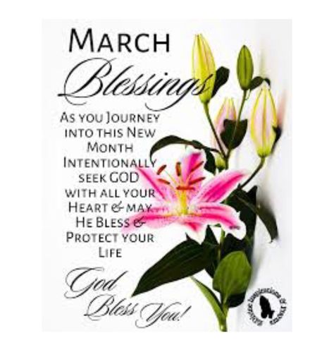 New Month Greetings, March Blessings, Happy New Month Quotes, March Quotes, New Month Quotes, Happy Valentines Day Wishes, Seasons Months, Black Inspirational Quotes, Happy March