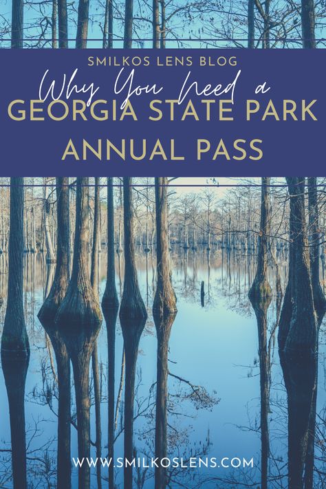 Image of cypress trees and their reflection on a lake in a Georgia State Park Georgia State Parks, Cloudland Canyon, Visit Georgia, Georgia State, Hiking Dogs, Easy Day, Travel Inspo, Amazing Destinations, Beautiful Destinations